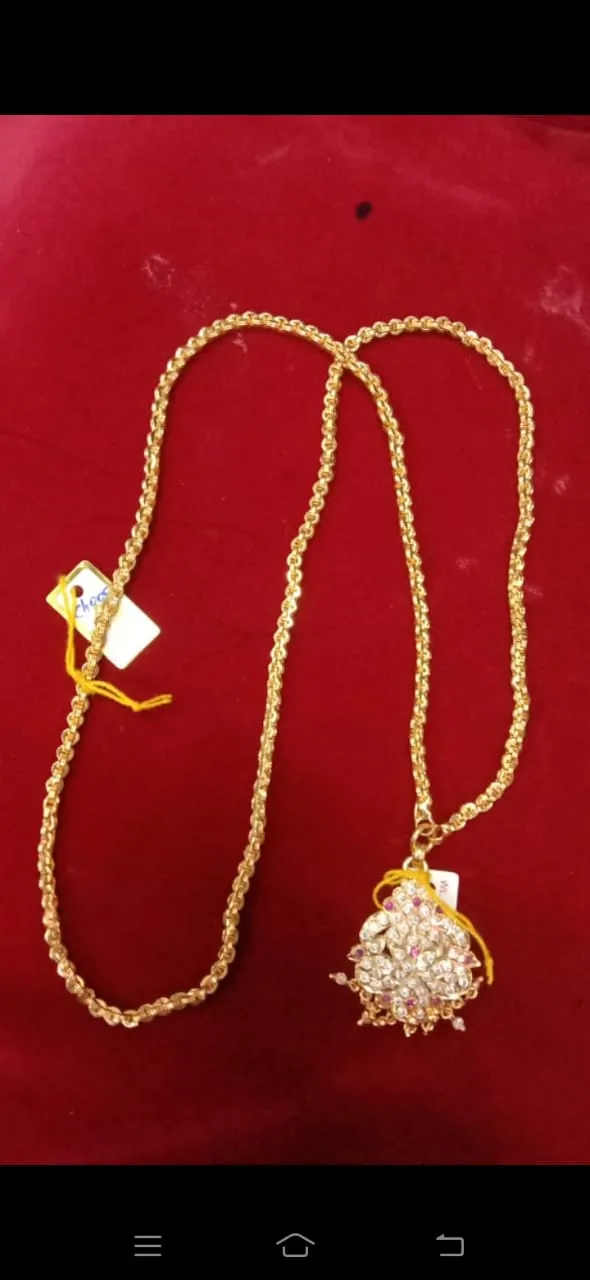 Twenty Four Inch Dollar Chain
