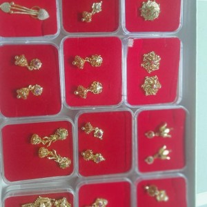 12 Piece Ear Ring