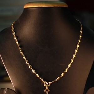 Dollar Chain-5931