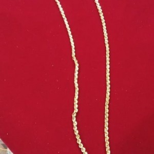 Short Dollar Chain-7681