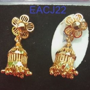 Ear Rings-14211