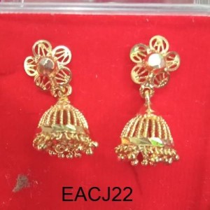 Ear Rings-14217