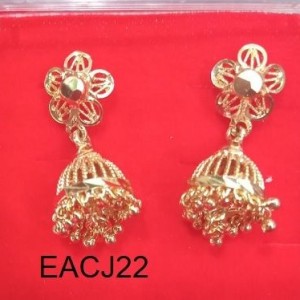 Ear Rings-14221