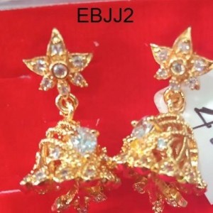 Ear Rings-14301