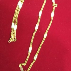 Dollar Chain-15841